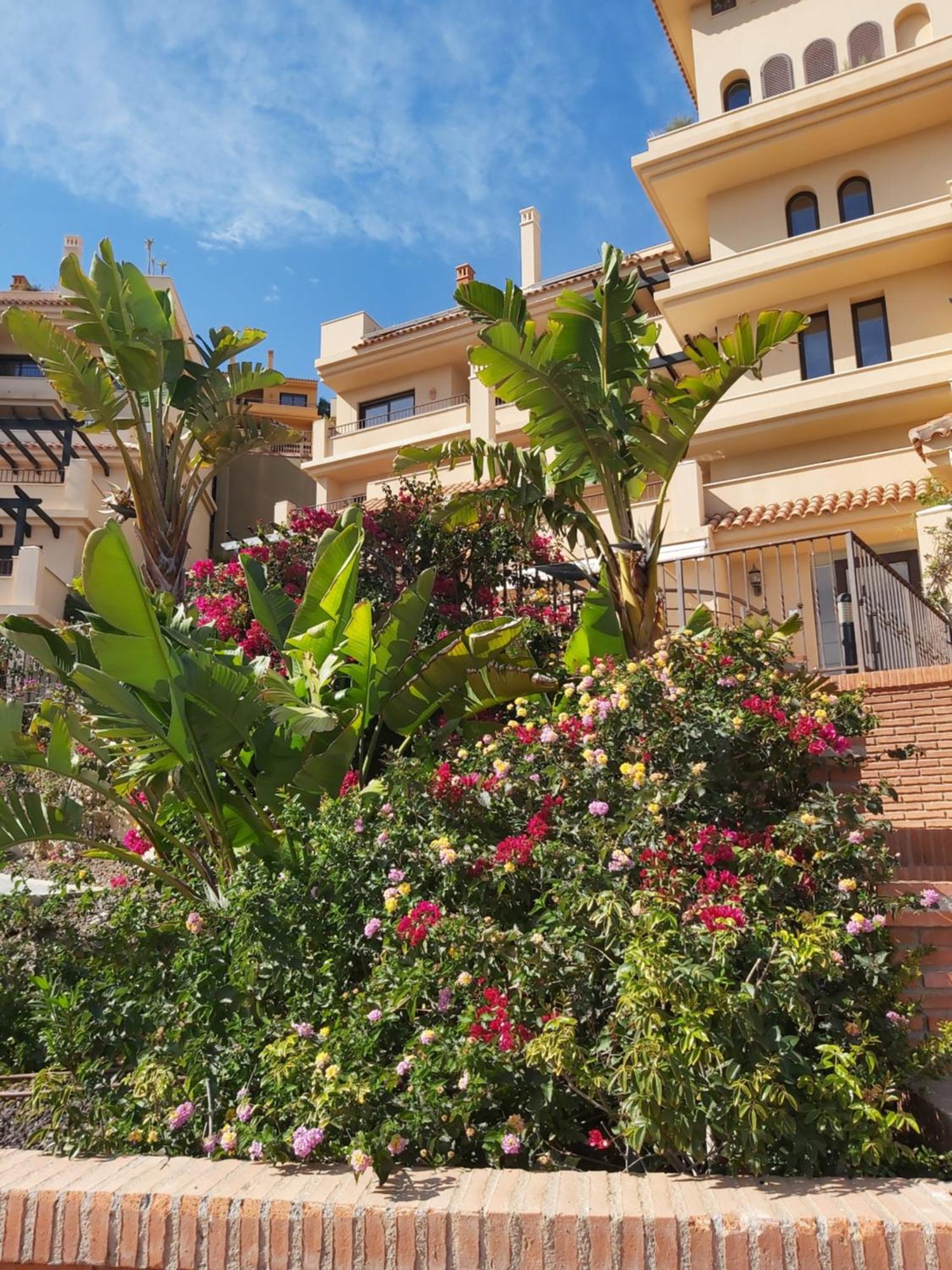 Casa Don Marco Apartment อากีลัส ภายนอก รูปภาพ